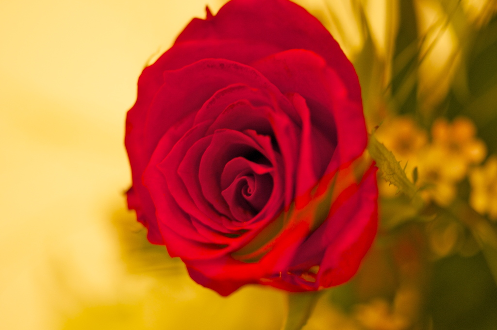 出版記念パーティーin Hotel SETRE