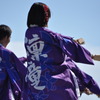 よさこい
