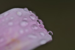 雨の日を楽しもう１０