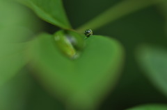 雨の日を楽しもう７