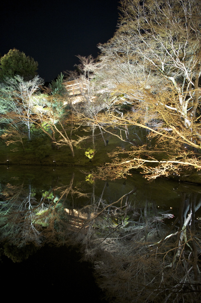 高台寺４