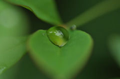 雨の日を楽しもう８