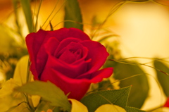 出版記念パーティーin Hotel SETRE