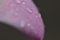 雨の日を楽しもう３