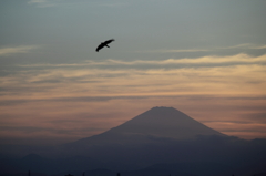 帰還