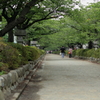 若宮大路