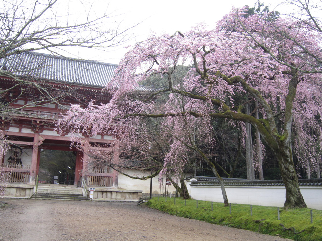 写真 105
