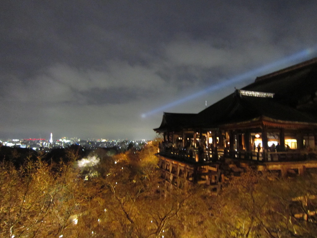 写真 153