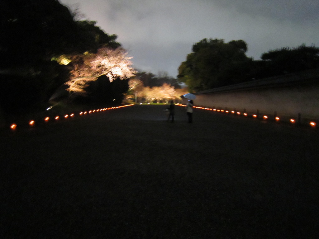 写真 180