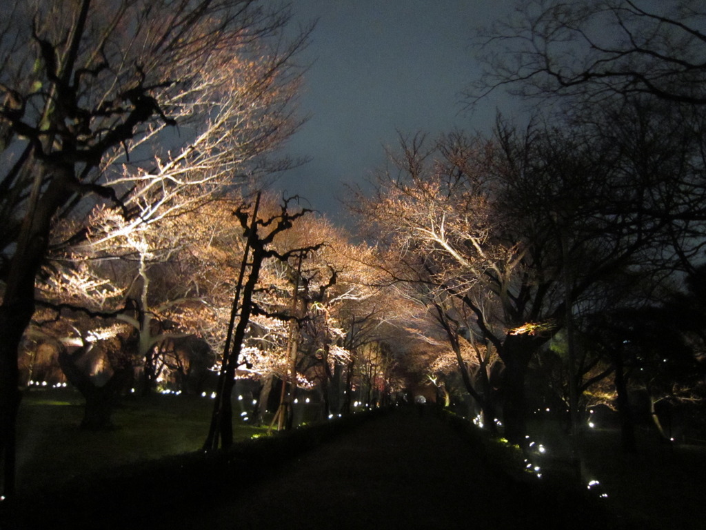 写真 190