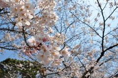 おはよう