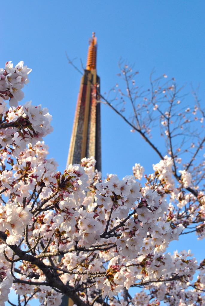 いい天気