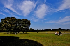 水元公園 