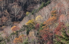 山の秋
