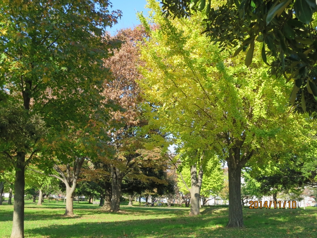 中川公園 
