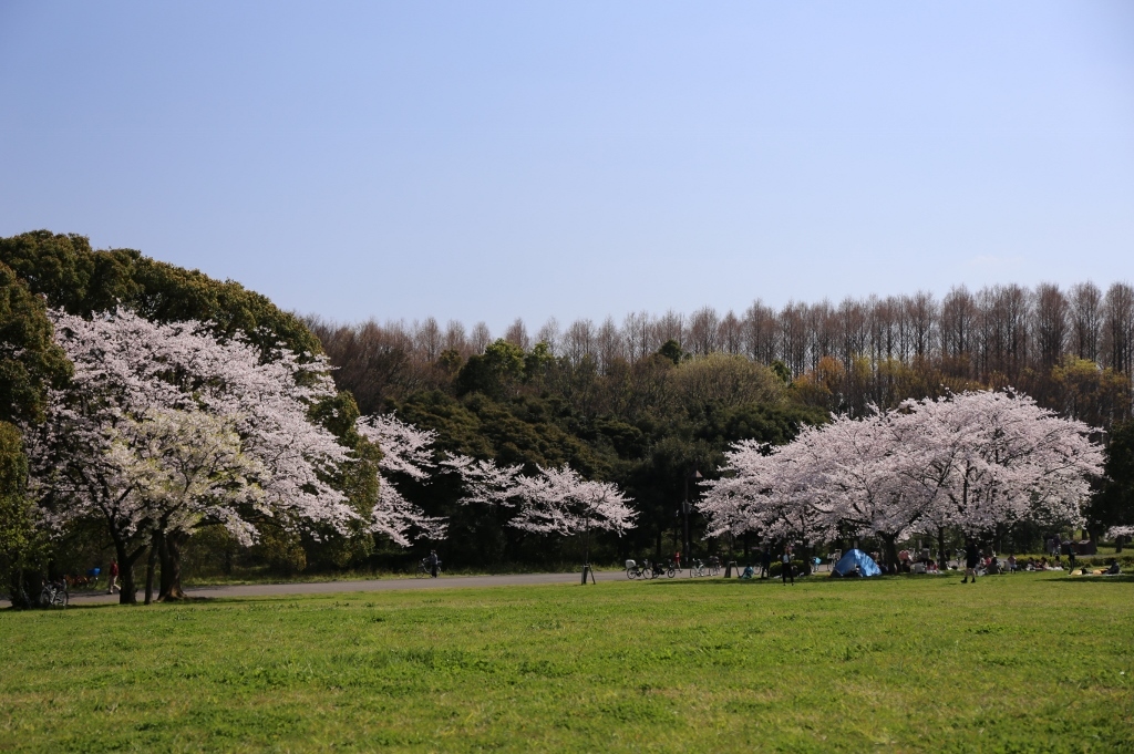 水元公園 (32)