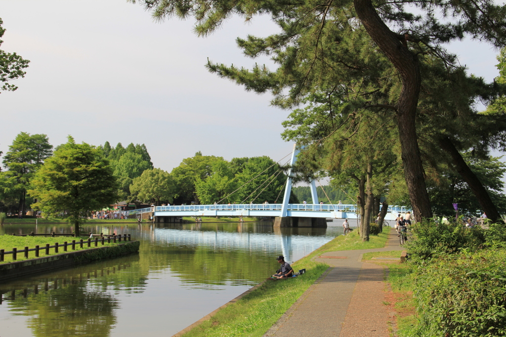 水元公園 (85)