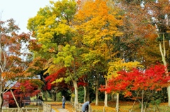 水元公園 