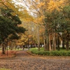 水元公園 (2)