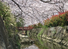 葛西親水公園 (4)