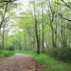 水元公園 