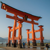 厳島神社　大鳥居
