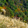 大野山の秋景色