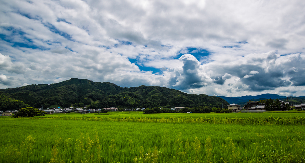 夏から秋へ