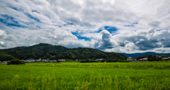 夏から秋へ