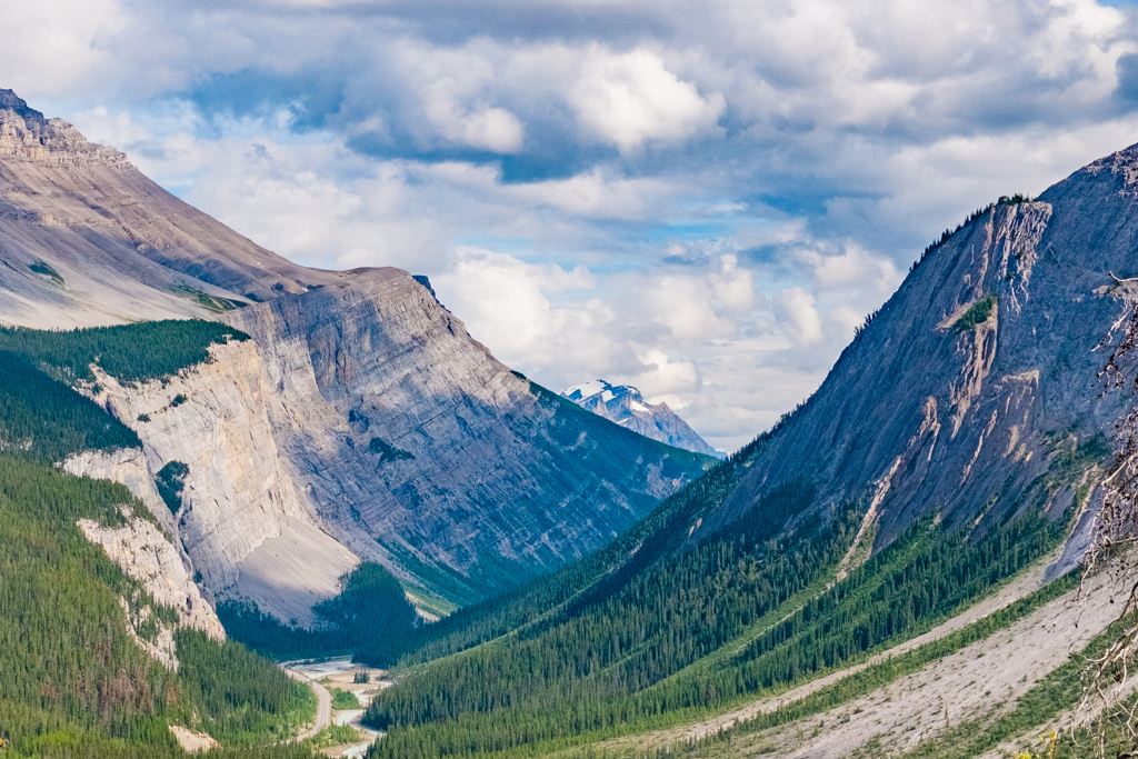 View of Icefield Parkway