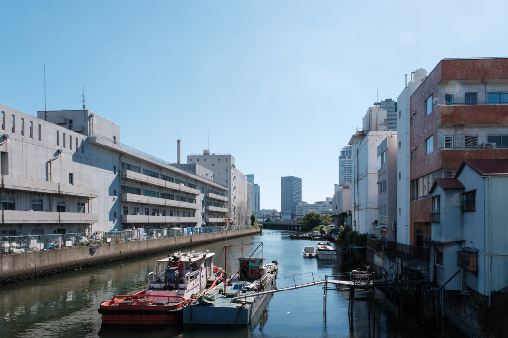 中央卸売市場裏の水路