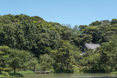夏の三溪園