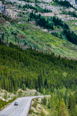 Icefields Parkway 135mm