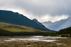 Sunwapta River