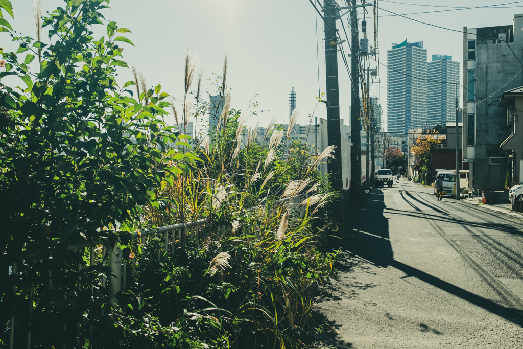 神奈川