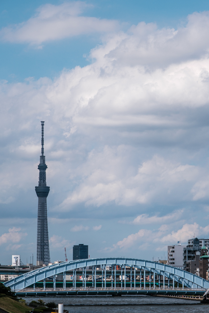 スカイツリーと永代橋