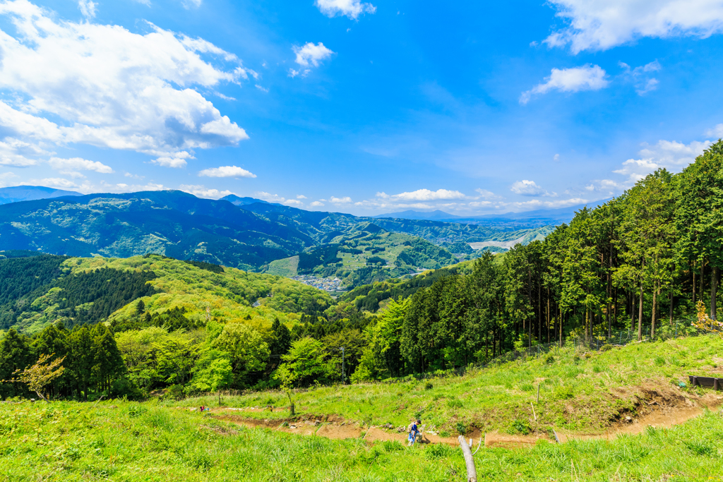 大野山ハイキング