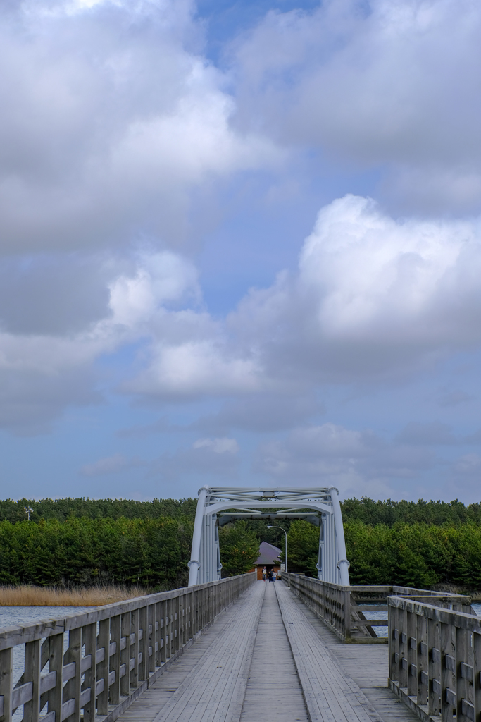 中島遊歩道橋（十三湖）