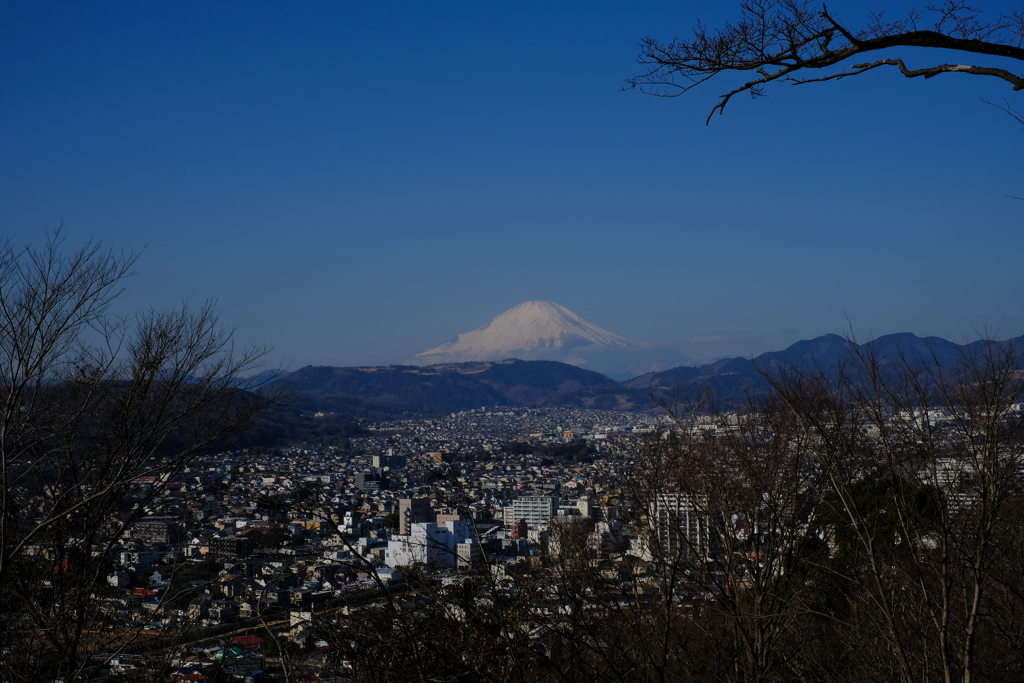 弘法山ハイキング with XF35mm F1.4 R ③