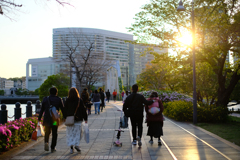 汽車道の夕日