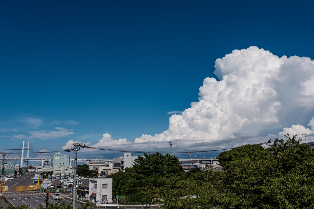 夏の新山下