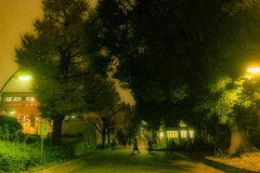 上野公園ファンタジー