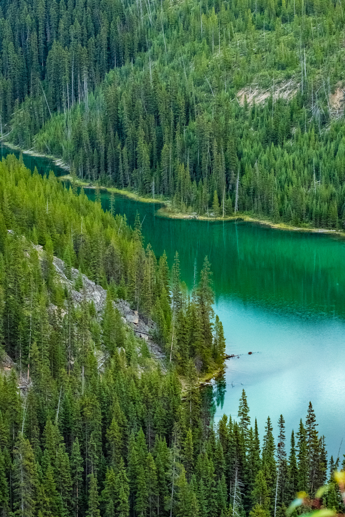 Vista Lake