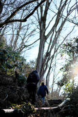 弘法山ハイキング with XF35mm F1.4 R ②