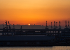 yokohama ★ sunrise