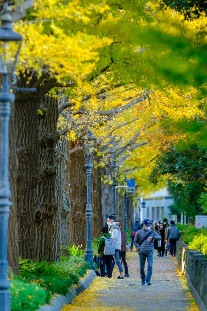 山下公園通り