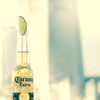 ランドマークタワーに乾杯
