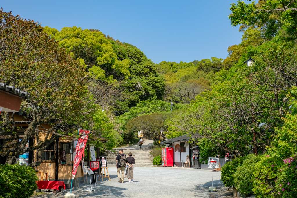 太宰府天満宮
