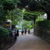 緑の回廊