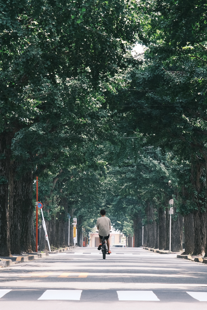 田園調布